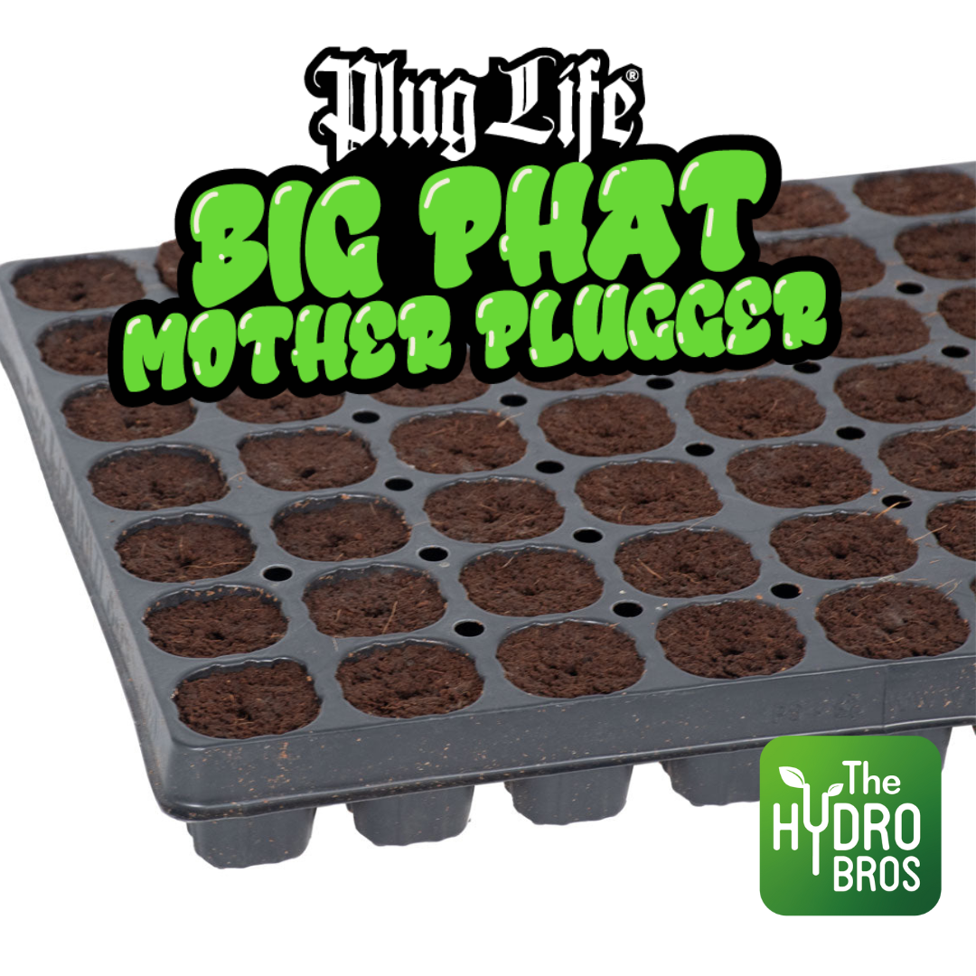 Grow Media Plug Life Big Phat Mother Plugger 77 Tray