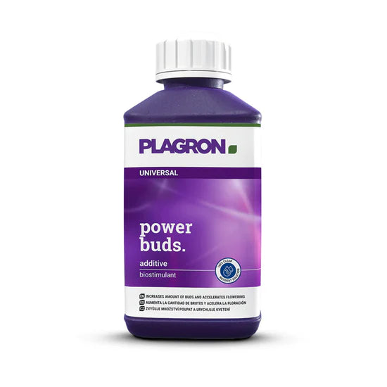 Nutrients Plagron Power Buds