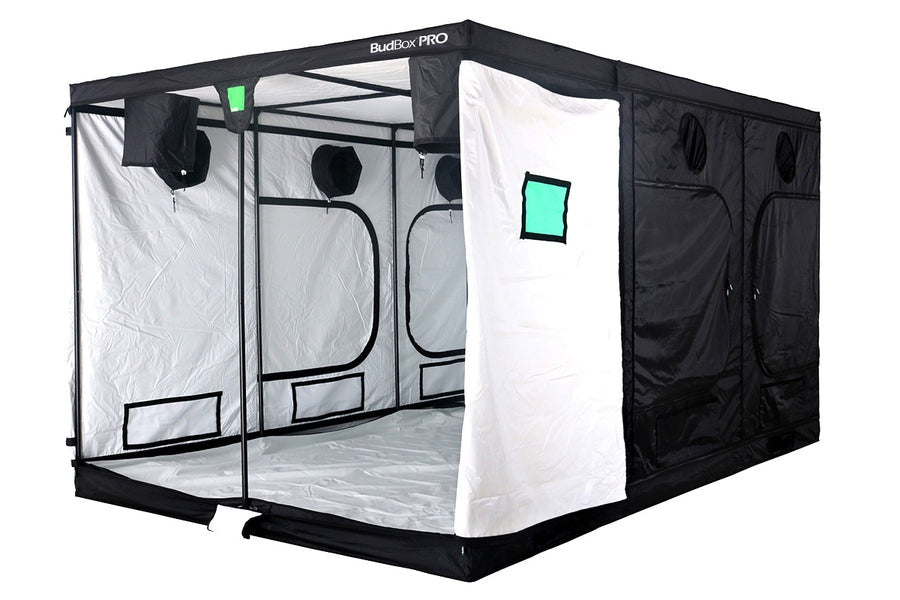 Bud Box Pro Tent White - 240 x 360 x 220